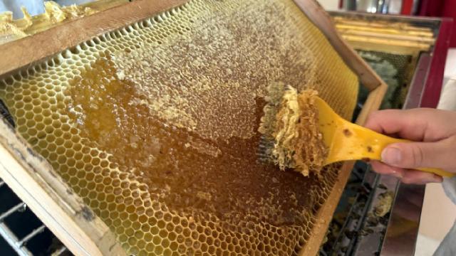 Coğrafi işaretli Ardahan çiçek balının kadın eliyle sofralara yolculuğu başladı