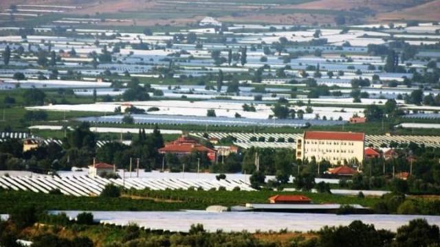 Sarıgöl Ovası beyaza büründü