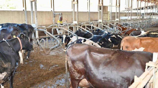 Kahramanmaraş’ta üretimin arttırılması için çiftçilere eğitim desteği veriliyor