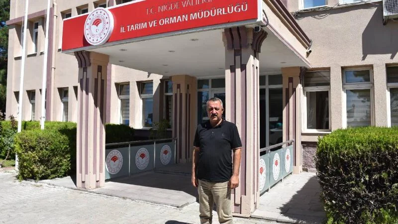 Niğde’de patateste 1 milyon 45 bin ton rekolte bekleniyor