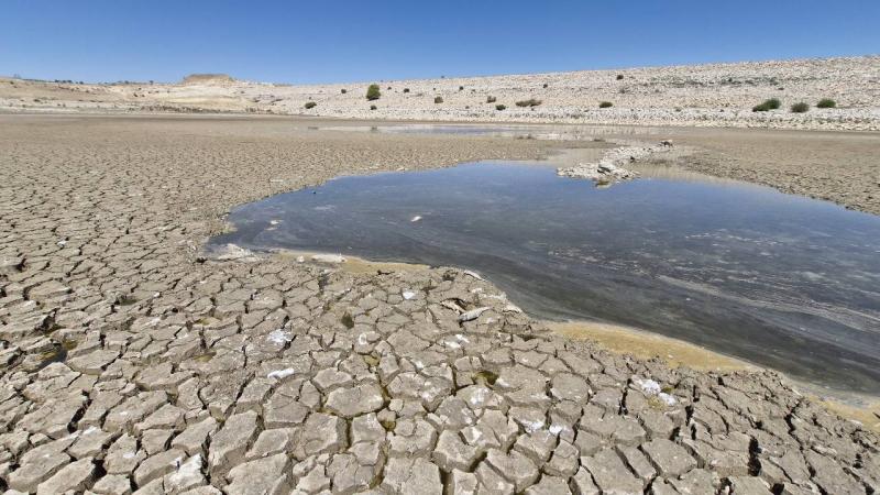 Karaman’da baraj kurudu, binlerce balık telef oldu