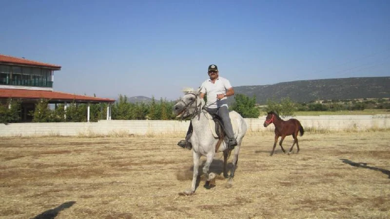 Denizli’de Kale Belediyesi at çiftliği kurdu