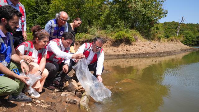 İstanbul’da binlerce sazan yavrusu suya bırakıldı