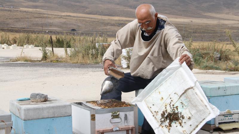 Arıcılar Erciyes Dağı eteklerini tercih ediyor