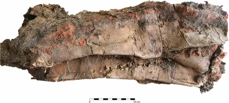 Moğolistan’da Moğol Öncesi Döneme Ait Sarı İpek Pelerinli Bir Kadın Elit Mezarı Keşfedildi