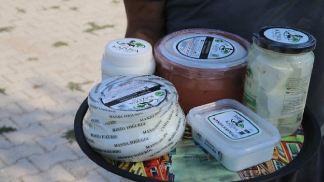 Tokat’ta köyde kurdukları işletmede manda yoğurdu üretip Dubai’ye kadar ulaştılar