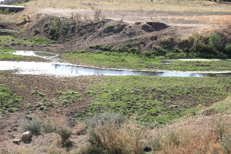 Tunca Nehri’nin bazı bölümleri kurudu