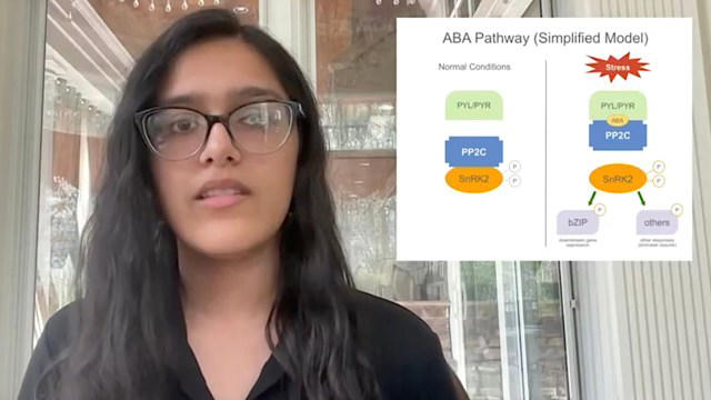 Genç bilim insanı, gıda yetiştirme şeklimizi kökten değiştirebilecek tarımsal bir buluşa imza attı