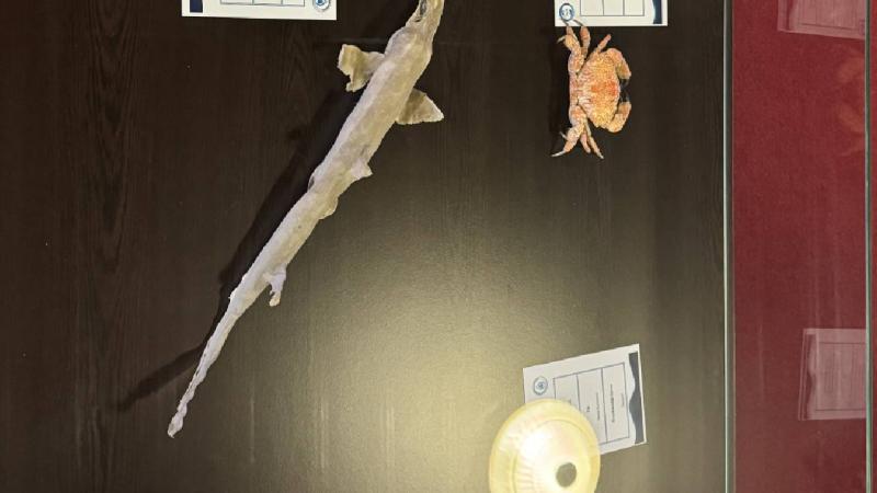 Isparta’daki sucul canlılar müzesi genişleyen envanteriyle bilim dünyasına katkı sağlıyor