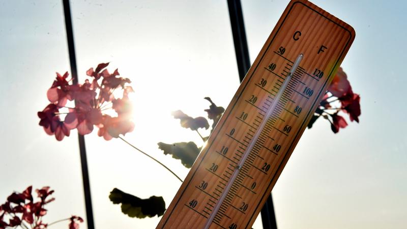 Avustralya’da 41,6 dereceyle kış sıcaklık rekoru kırıldı