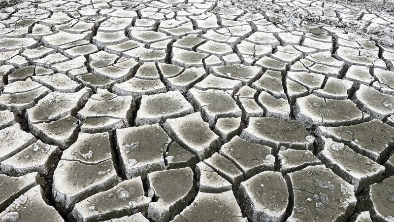Kayseri’deki Tekir Göleti’nde kuraklık nedeniyle derin çatlaklar oluştu