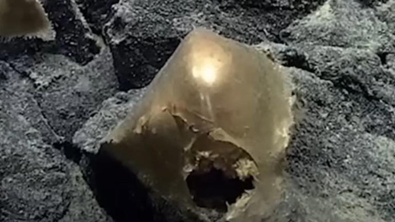 Bilim insanları deniz dibinde keşfedilen altın küre karşısında şaşkına döndü