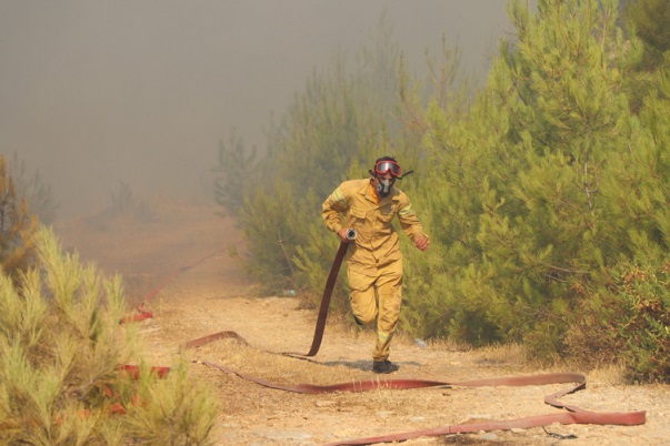 “Alev savaşçıları” yeşil vatanı korumak için her an teyakkuzda