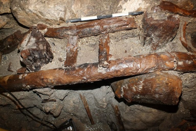 Samsun’da Hititlerin Kutsal Suyunda Fındık ve Ahşap Parçalar