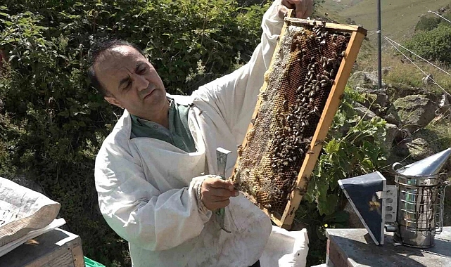 Anzer Balı Fiyatı 4 Bin TL Olarak Belirlendi