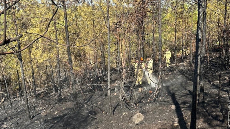 Silifke’de orman yangını kontrol altına alındı