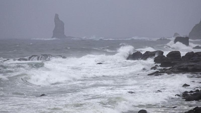 Japonya’nın Kagoshima bölgesinde “tayfun alarmı” verildi