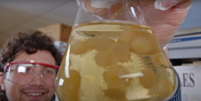 Dünyada çok az mucizevi çözüm var