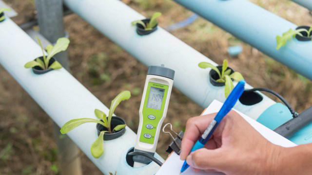 Bilim insanları, bahçecilik biçimimizi değiştirebilecek kendi kendini sulama konusunda çığır açan bir buluşa imza attı