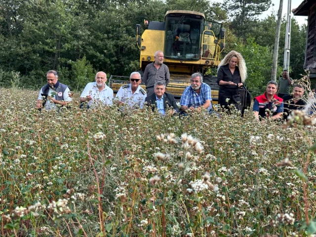 Sinop’ta Karabuğdayın İlk Hasadı Yapıldı