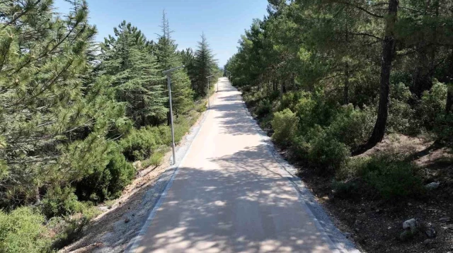 Bilecik Belediye Başkanı Melek Mızrak Subaşı, Kent Ormanı’nda sporseverleri yürüyüşe davet etti