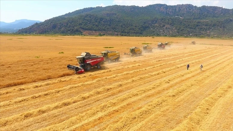 İki yıl boyunca işlenmeyen tarım arazilerini devlet kiraya verecek