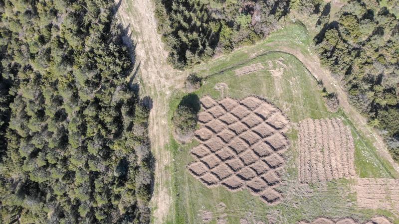 Ağaçlandırmada “hilal” ve “baklava” setleri olumlu sonuç verdi