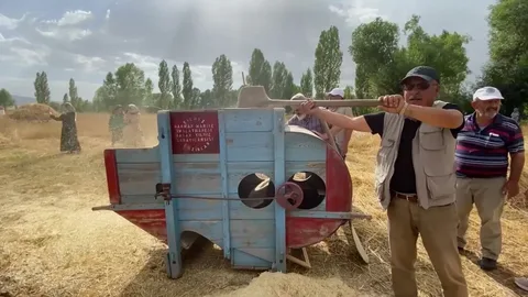 100 yıllık tarım aletleriyle buğday hasadı