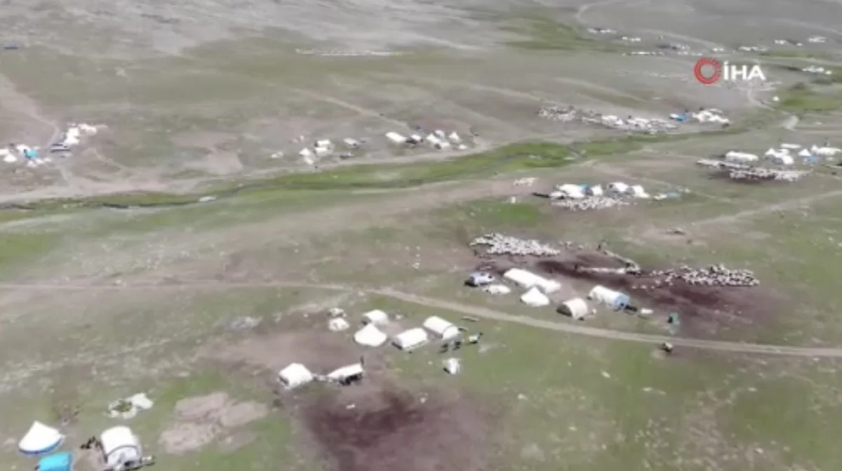 Erzurum’da göçerlerin çadırlı yayla mesaisi