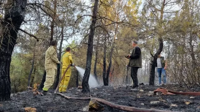 Amasya Orman Bölge Müdürlüğü 8 Ayda 145 Orman Yangınına Müdahale Etti