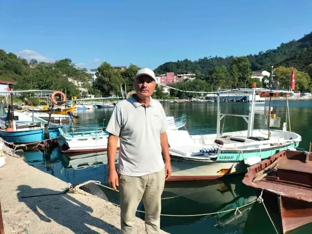 Ordu’da Balıkçılar Yeni Sezonda Palamut Balığından Yüksek Beklenti İçinde