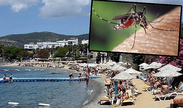 Batı Nil Virüsü Alarmı: Resmi Uyarılar Gönderildi