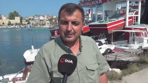 “Sinop’ta denizde geçen senekinden 50 kat daha palamut var gibi gözüküyor”