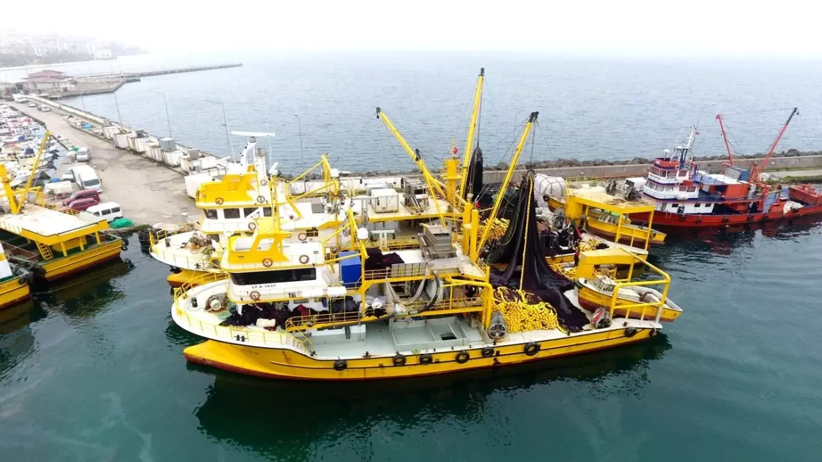 Sinop’ta Palamut Avı Sezonu Başlıyor