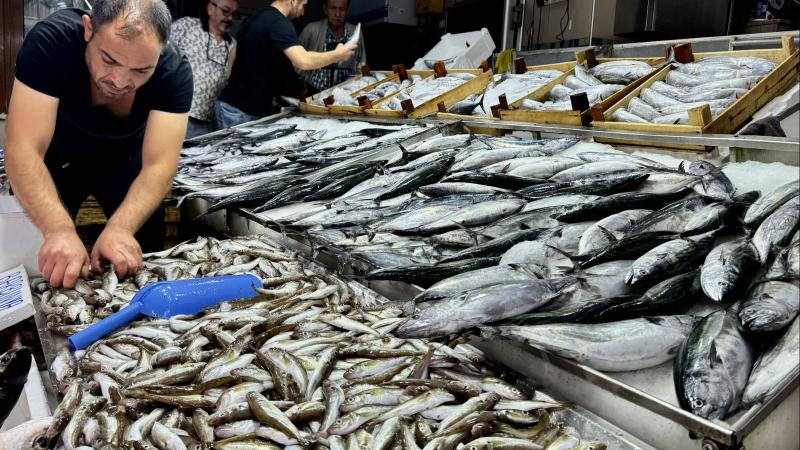 Sinop’ta balık tezgahlarında palamut, hamsi ve çinekop bolluğu