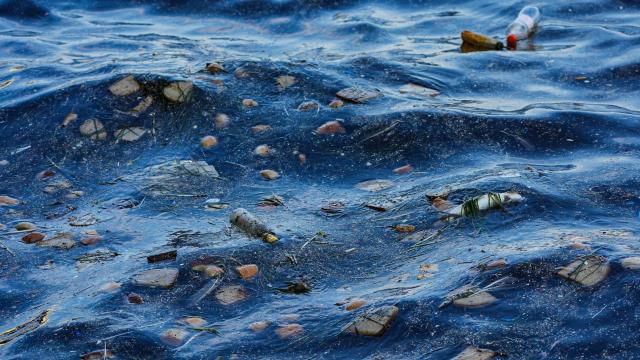 İzmir Körfezi Koordinasyon Kurulu’nun ilk toplantısı