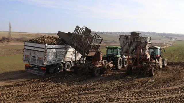 Türkşeker’in üretim hedefi 950 bin ton