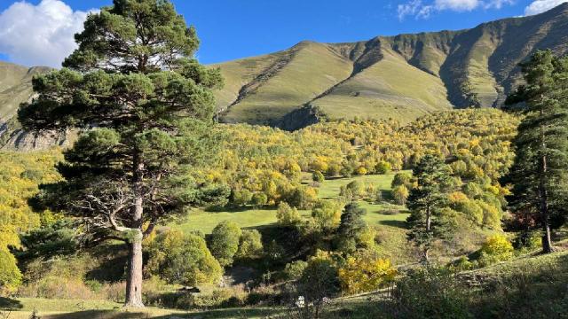 Artvin’de sonbahar ilk bu köye uğruyor