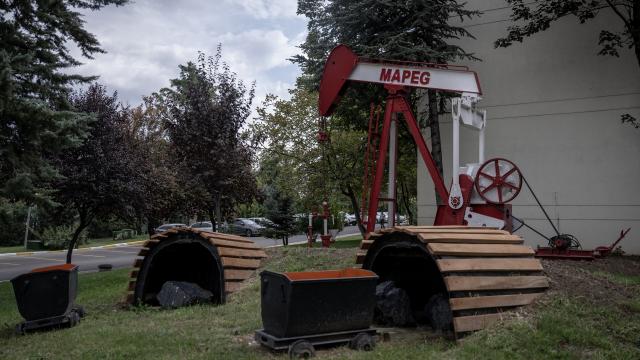 Rehabilite edilen maden sahalarına 20,5 milyon fidan dikildi