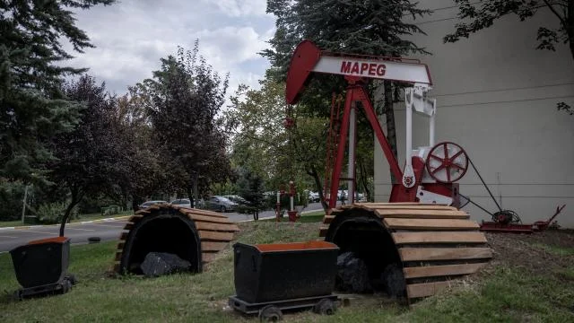Rehabilite edilen maden sahalarına 20,5 milyon fidan dikildi