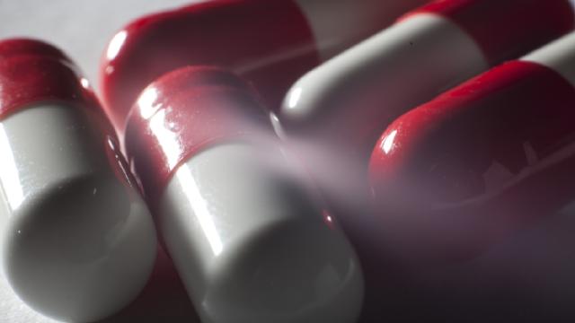 Kuzey Buz Denizi’nin derinlerinde yeni antibiyotikler keşfedildi