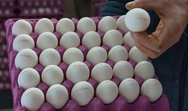 Bakanlık Açıkladı: Yumurtalardaki Rakamlar Ne Anlama Geliyor?