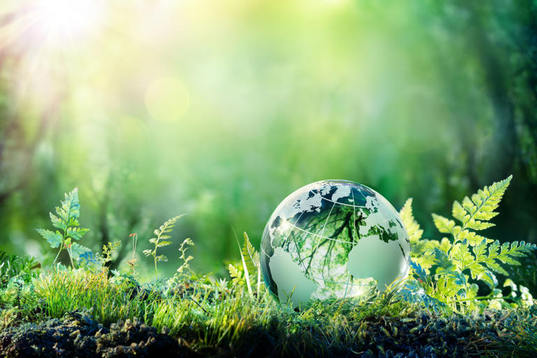 Tüm Türler Sessizce İz Bırakmadan Yok Oluyor