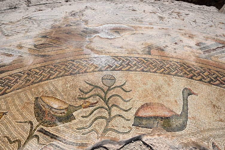 Dülük Antik Kenti’ndeki 1600 yıllık mozaikler turizme kazandırılacak