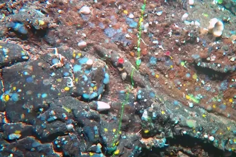 Lanzarote kıyılarında ‘Atlantis’in kökenleri’ keşfedildi