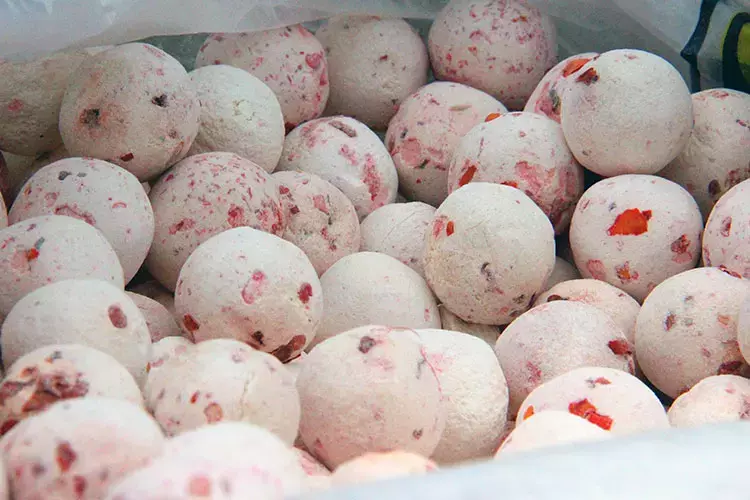 Çinliler kilo kilo alıyor! Türkiye’den tüm dünyaya satılan şifa kaynağı, kemikleri beton gibi yapıp kalkan oluşturuyor, doğal probiyotik