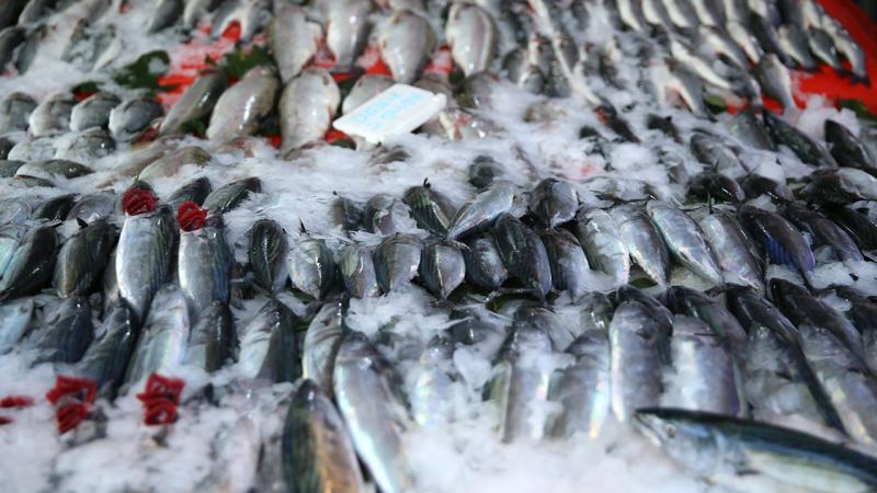 Balıkçı tezgahları şenlendi