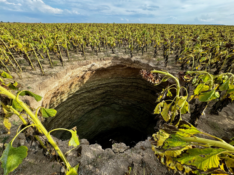 Eskişehir’de ayçiçeği tarlasında 20 metre obruk oluştu