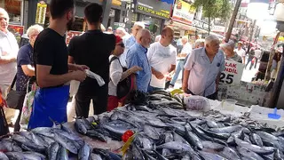 Palamut bolluğundan fiyatlar 50 liraya kadar düştü!
