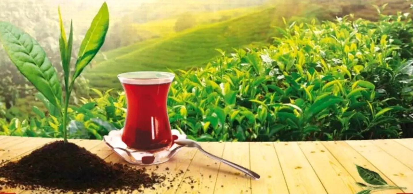 ÇAYKUR, çay fiyatlarına zam yaptı: İşte yeni zamlı tarife